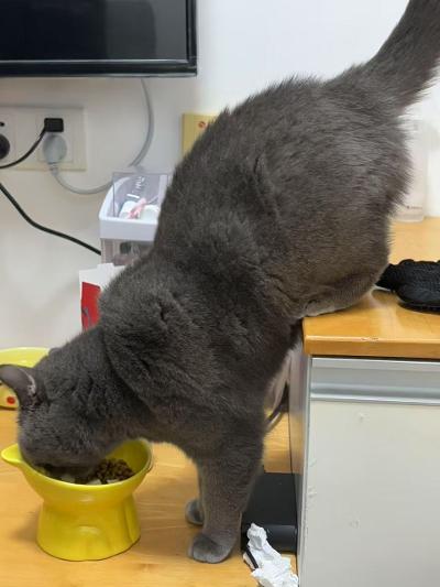 解锁进食姿势